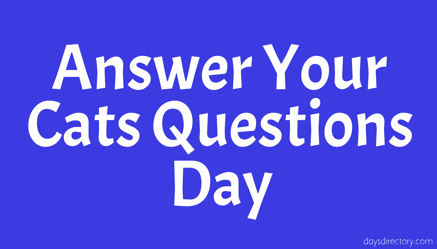 Answer Your Cats Questions Day