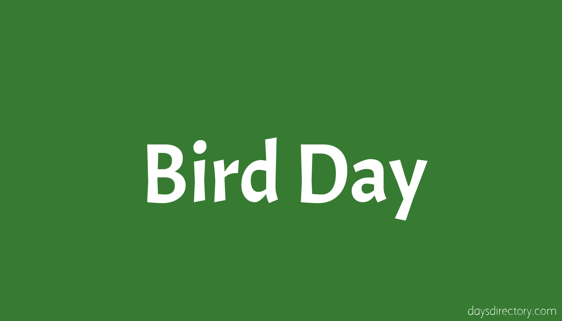 Bird Day