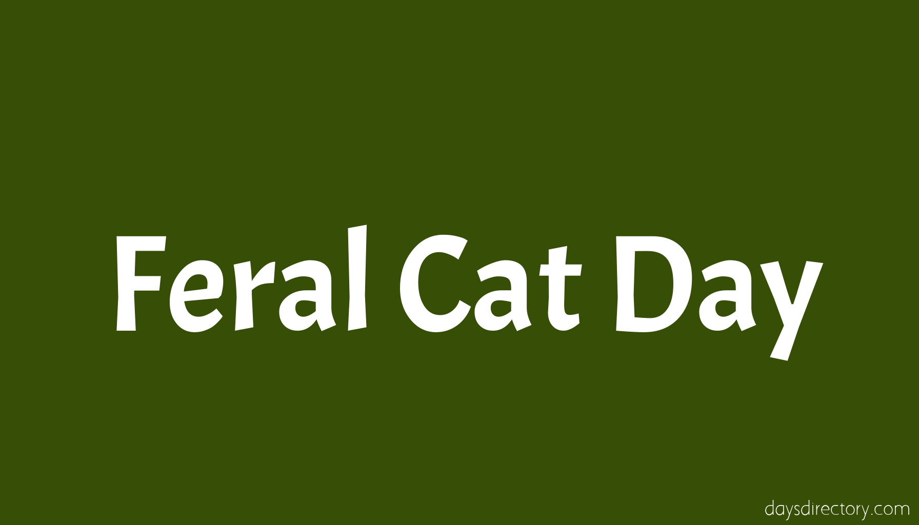 Feral Cat Day