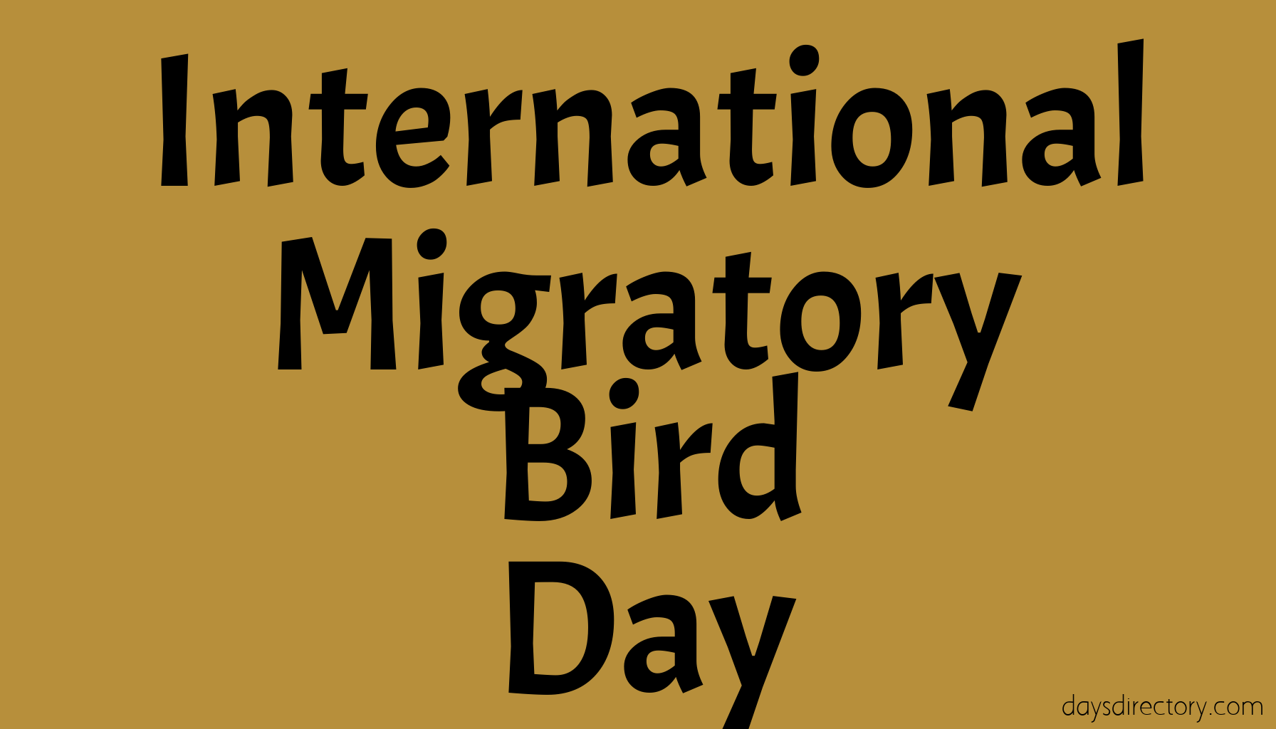 International Migratory Bird Day