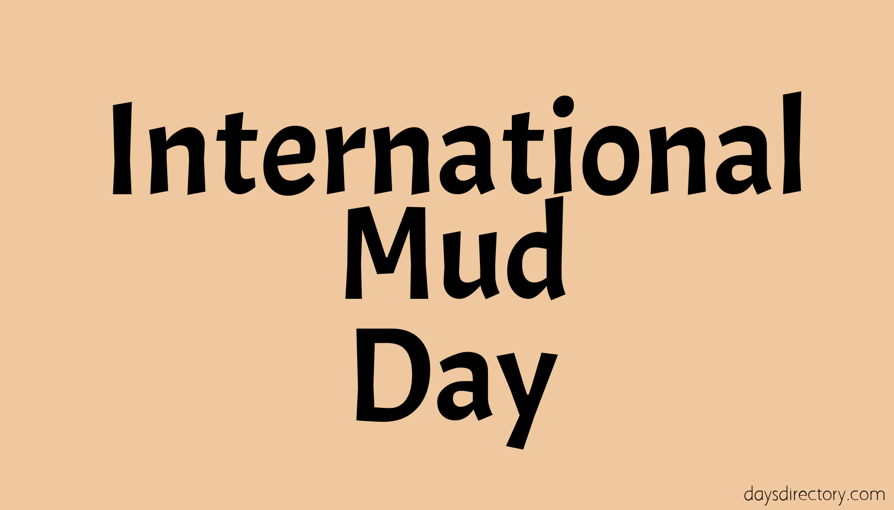 International Mud Day