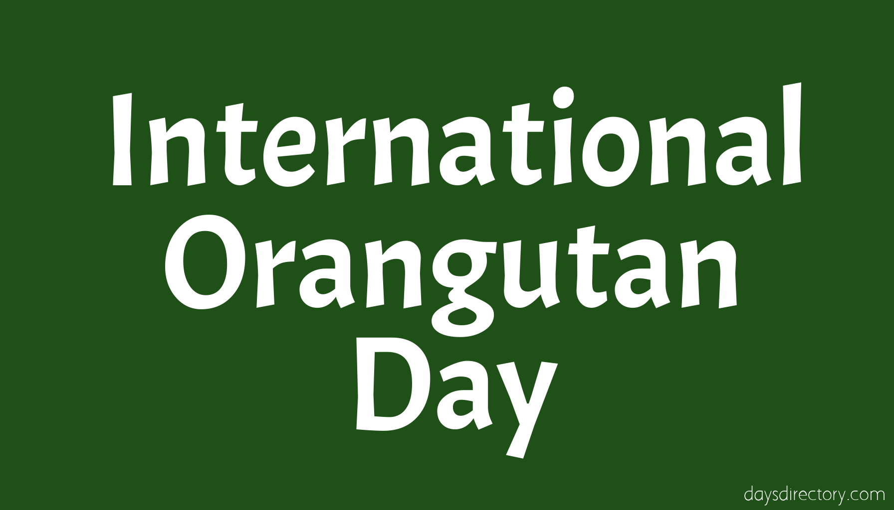 International Orangutan Day