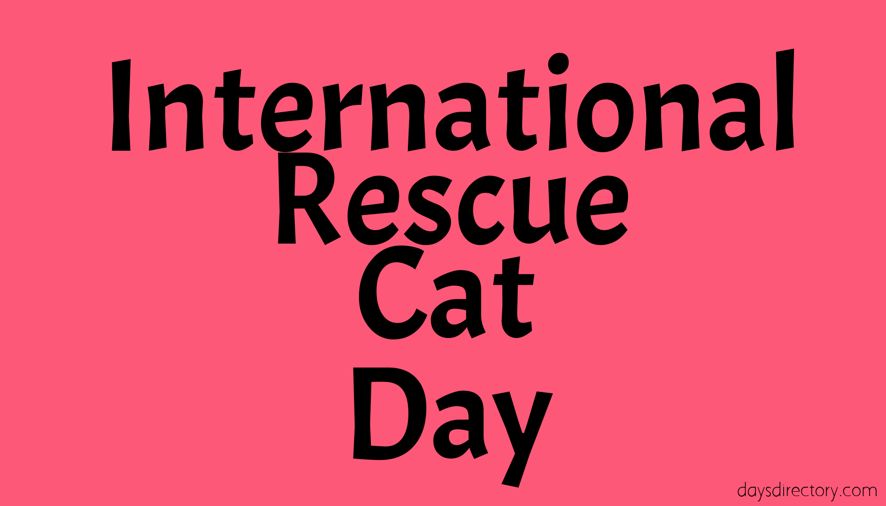International Rescue Cat Day