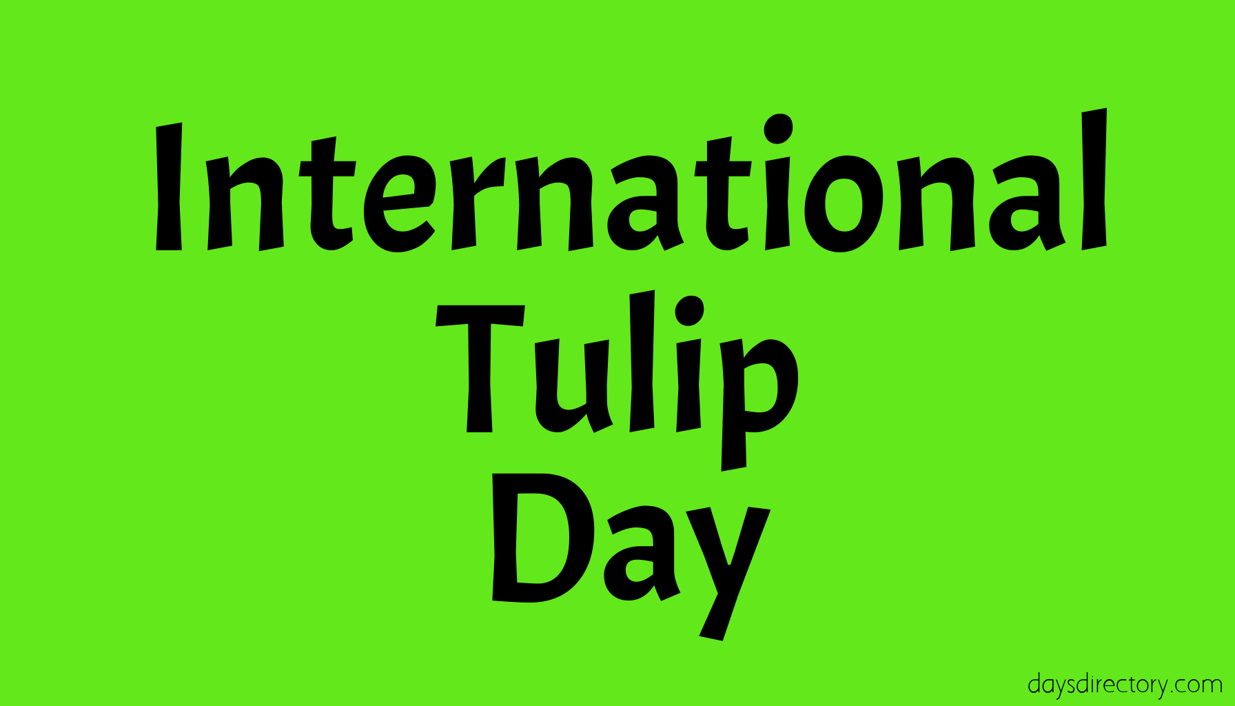 International Tulip Day