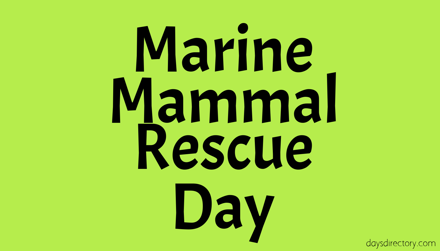 Marine Mammal Rescue Day