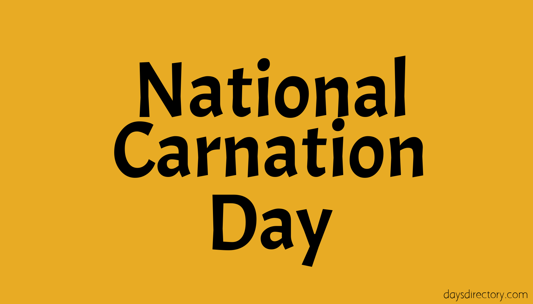 National Carnation Day