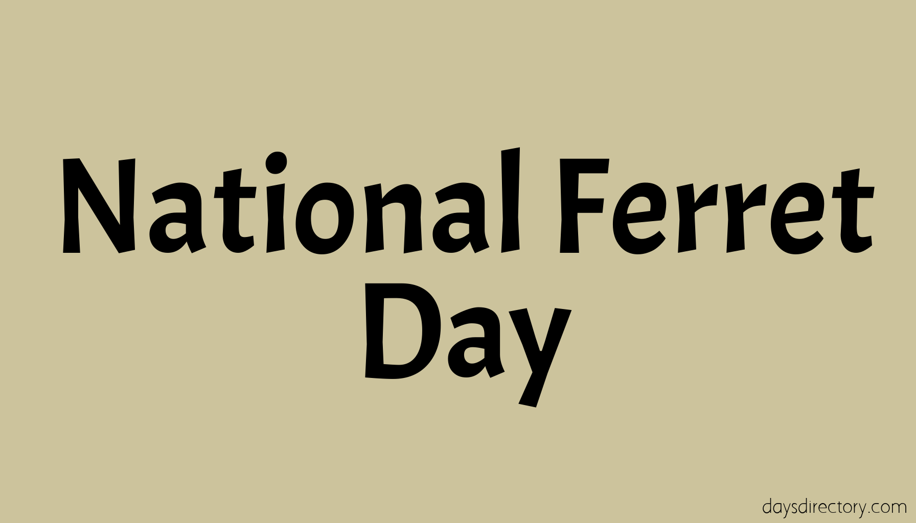 National Ferret Day