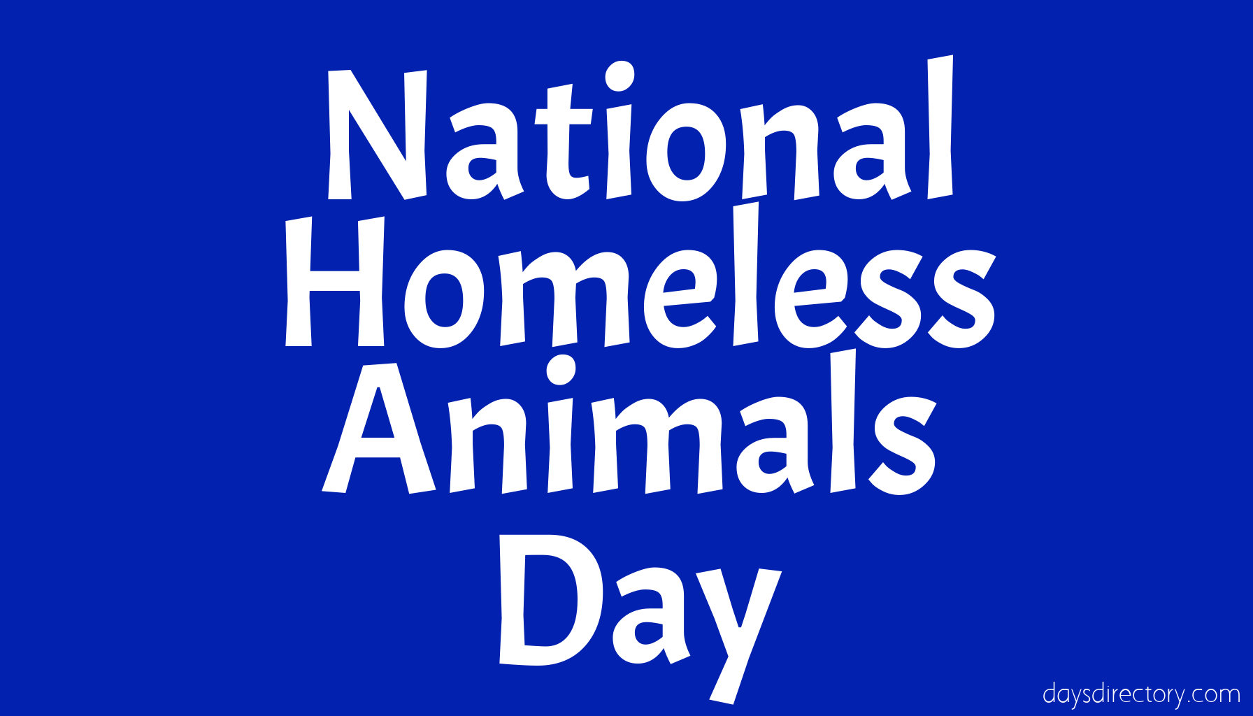 National Homeless Animals Day