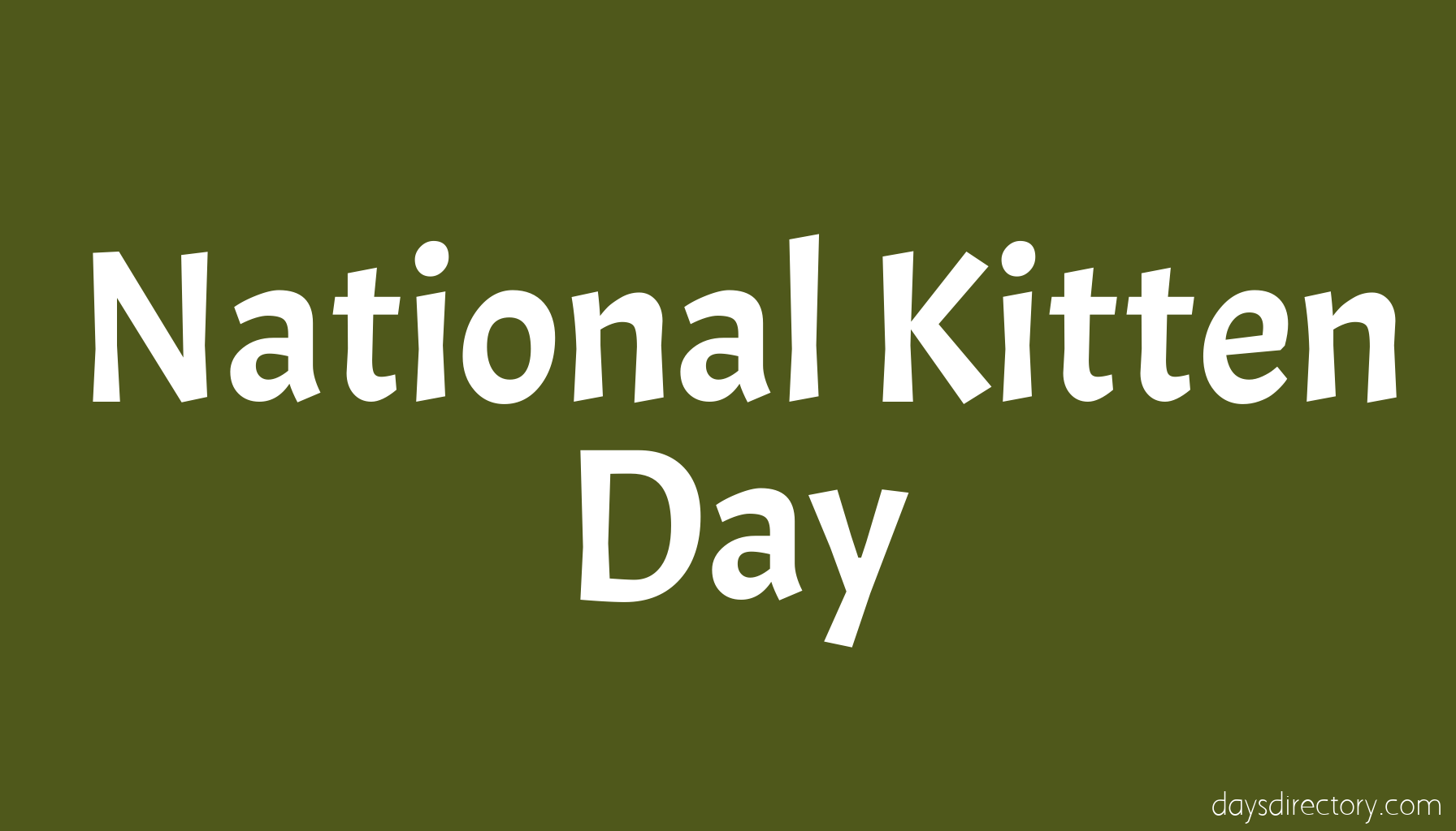 National Kitten Day