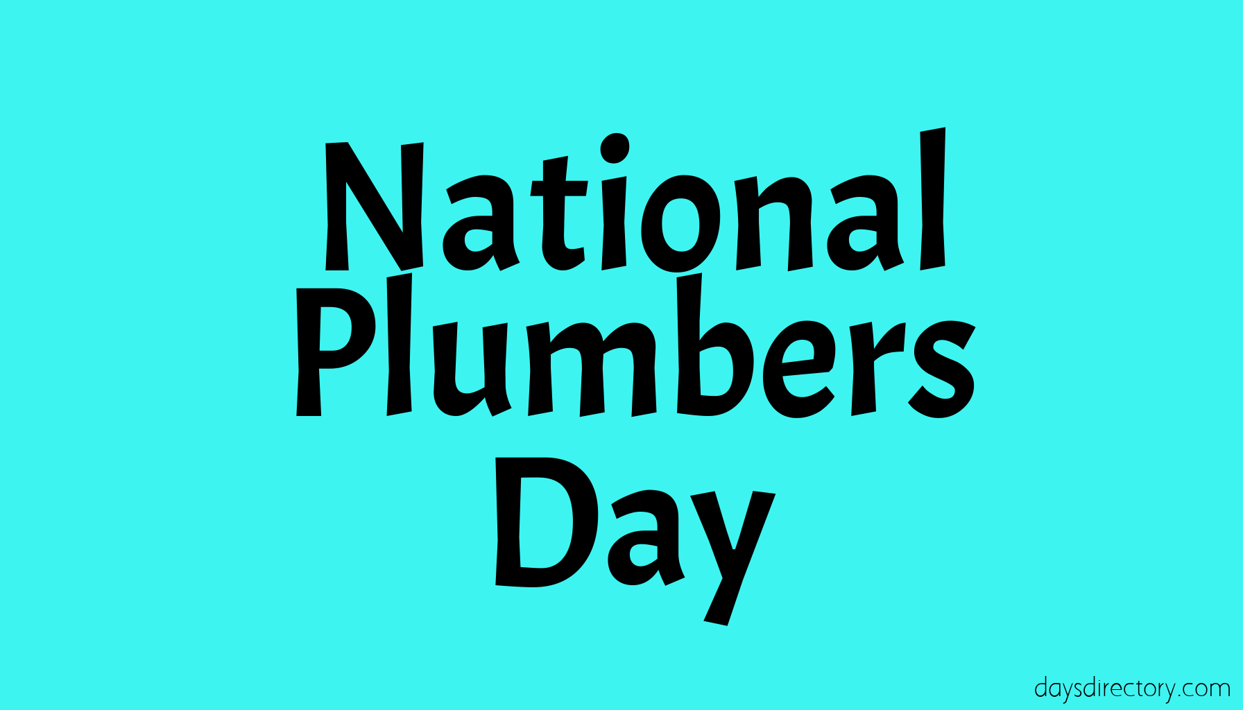 National Plumbers Day