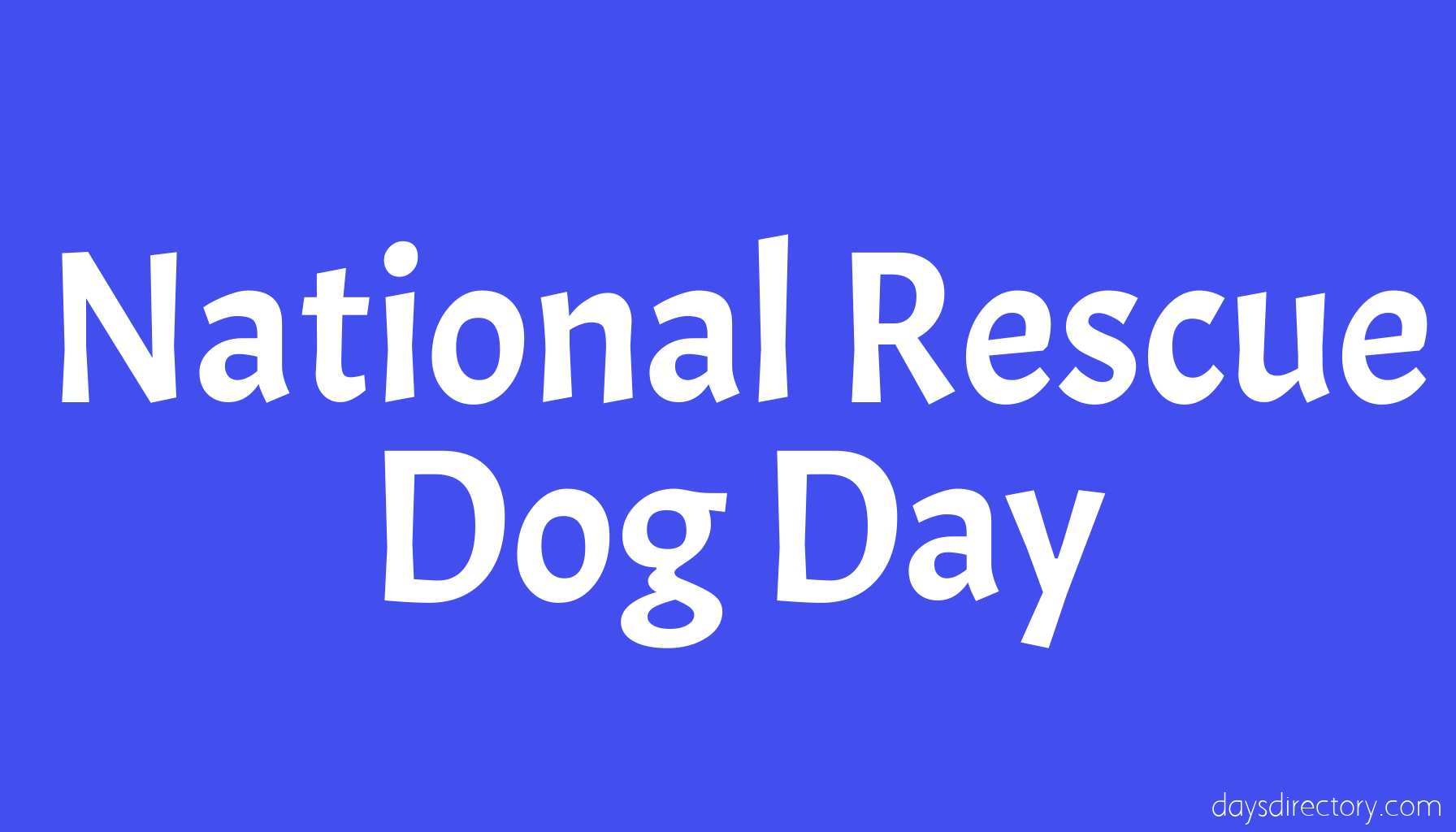 National Rescue Dog Day