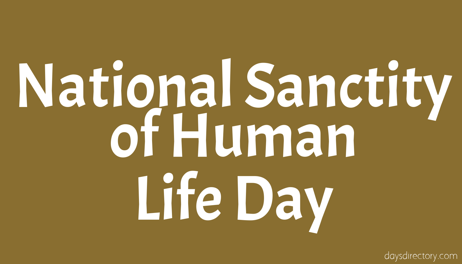 National Sanctity of Human Life Day