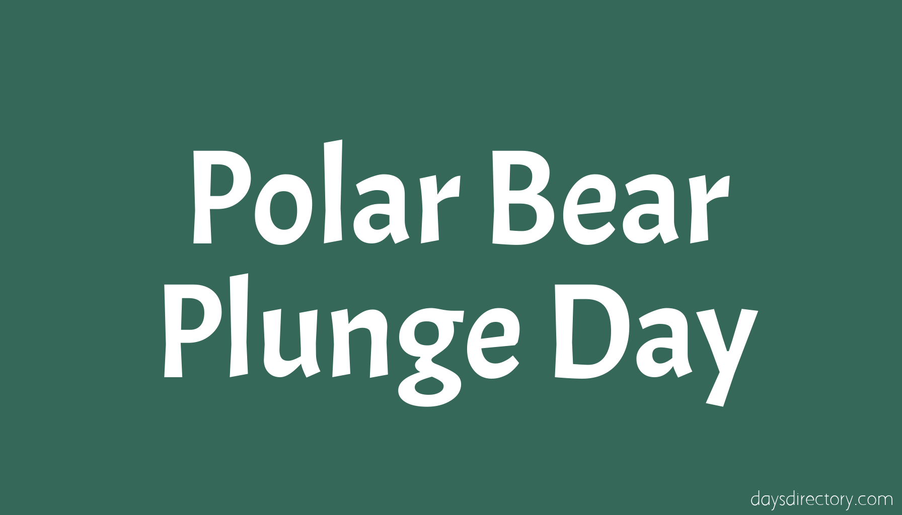 Polar Bear Plunge Day