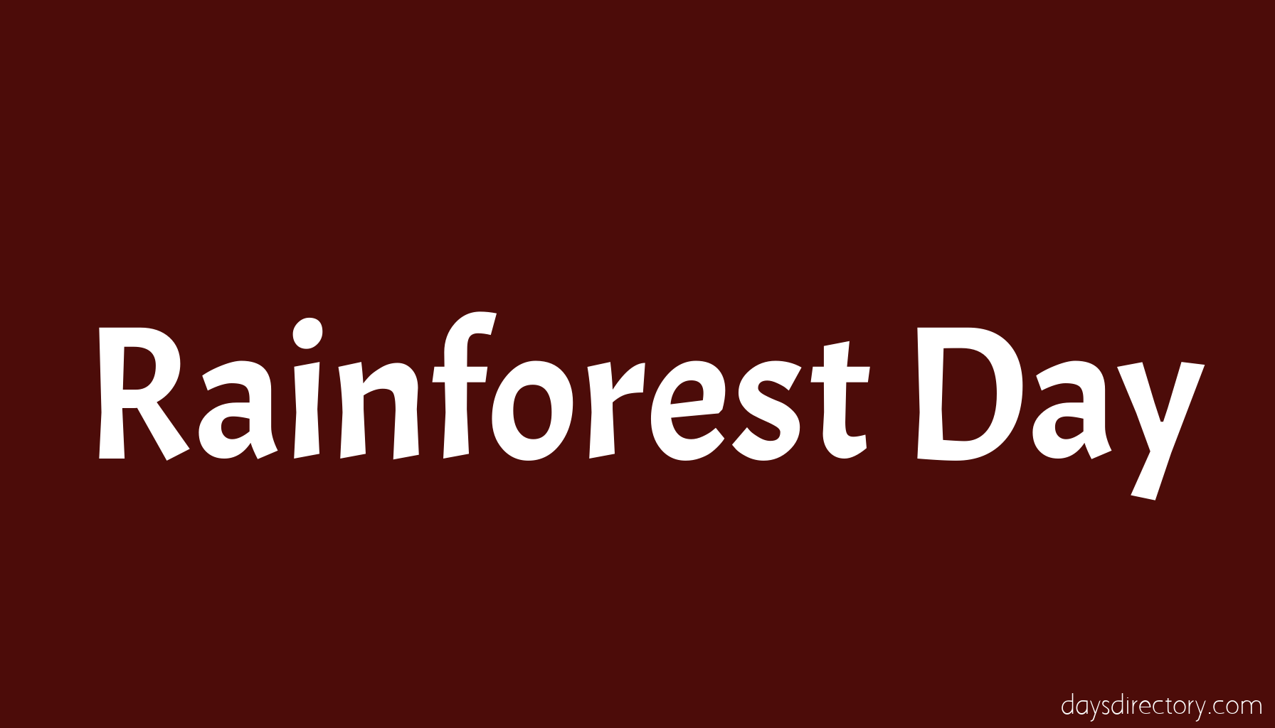 Rainforest Day