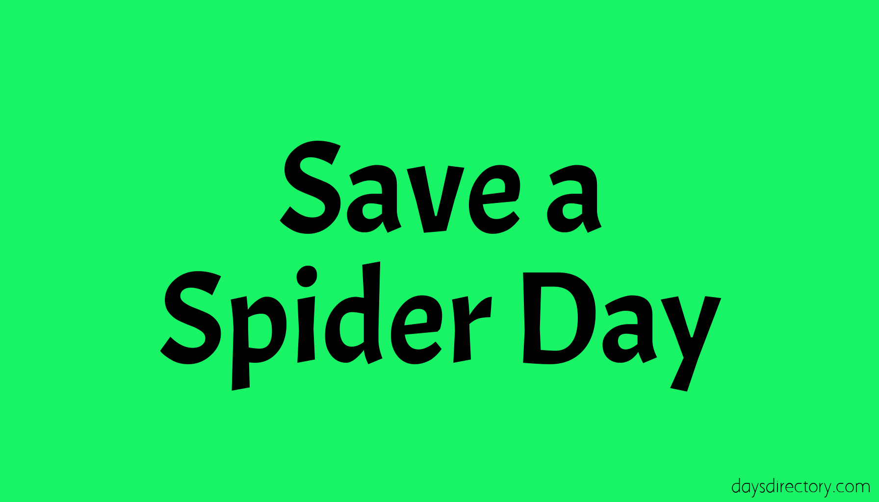 Save a Spider Day