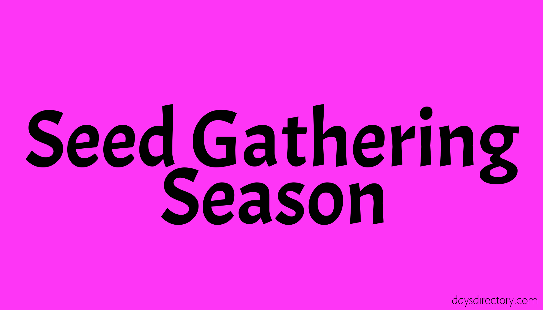 Seed Gathering Season