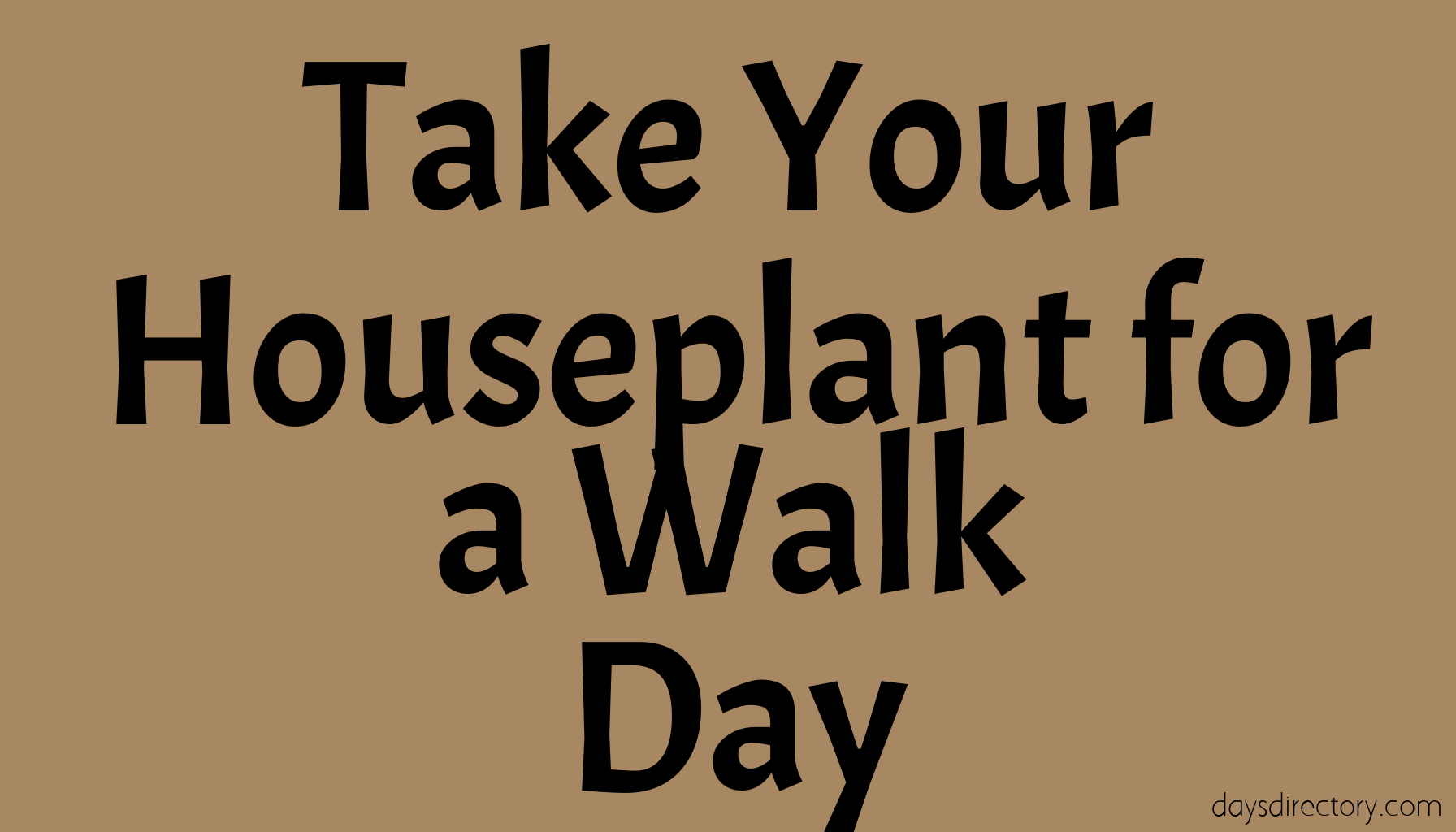 Take Your Houseplant for a Walk Day