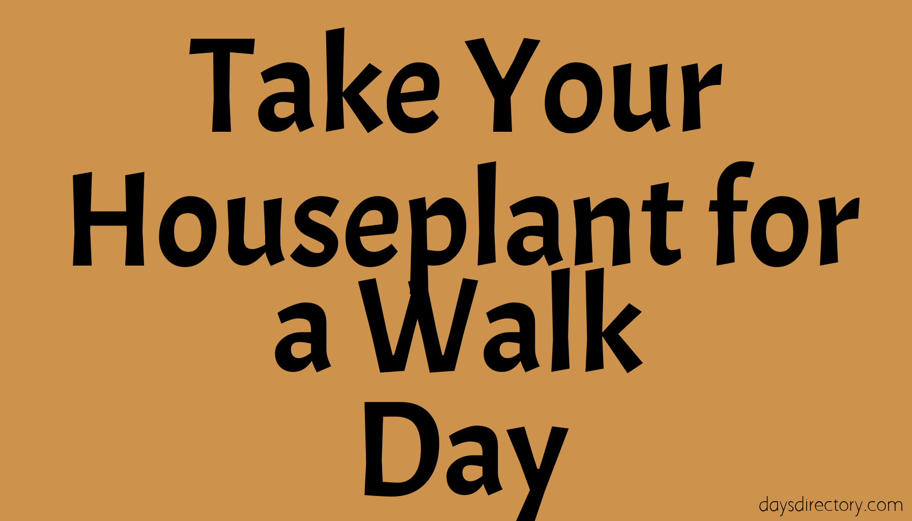 Take Your Houseplant for a Walk Day