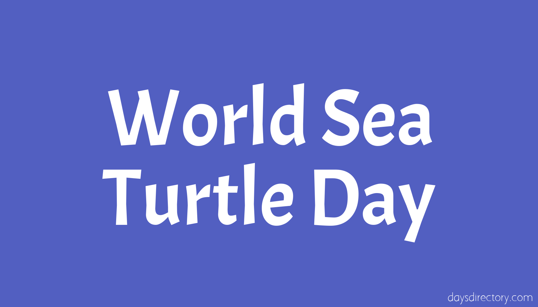 World Sea Turtle Day