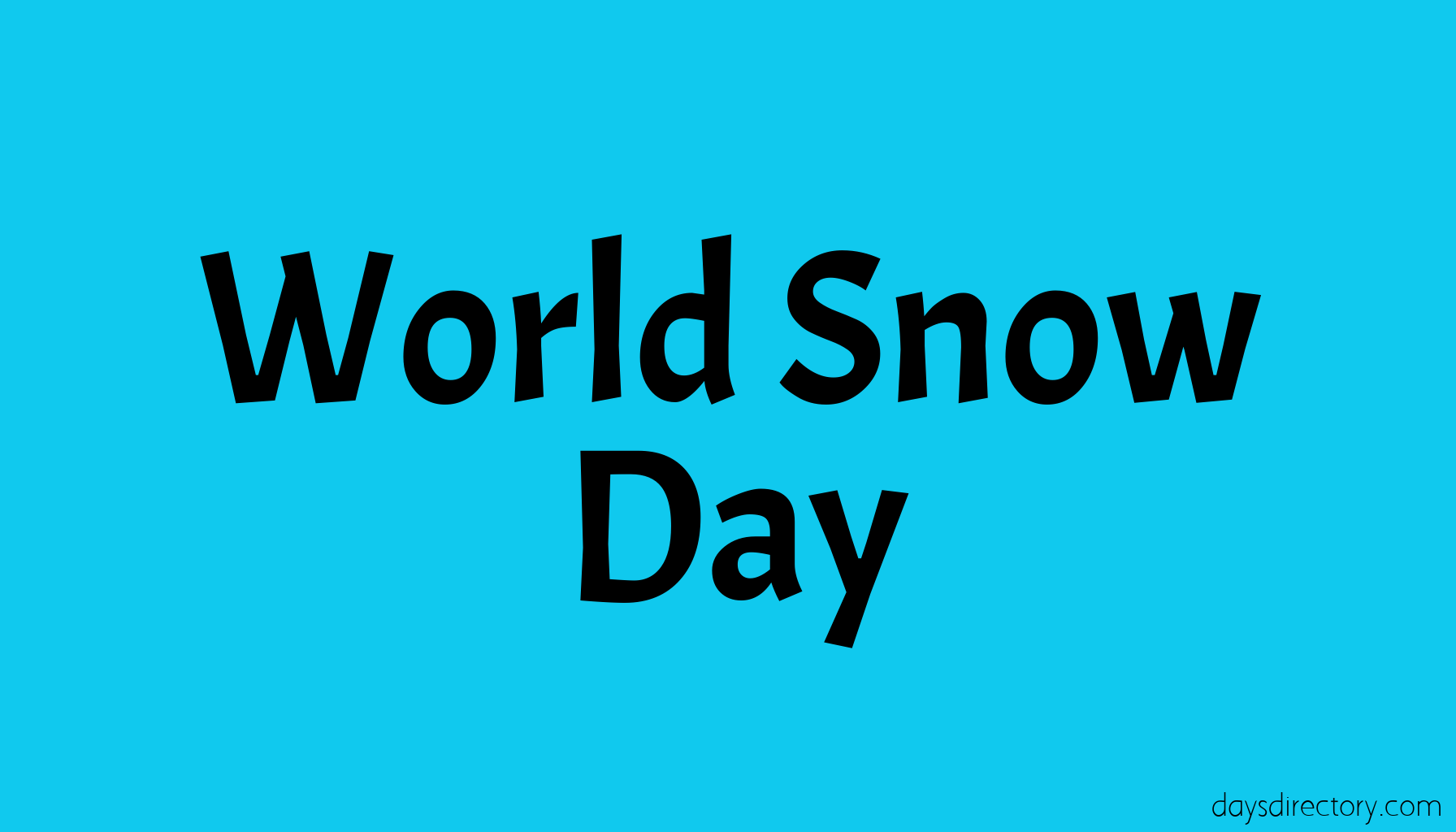 World Snow Day