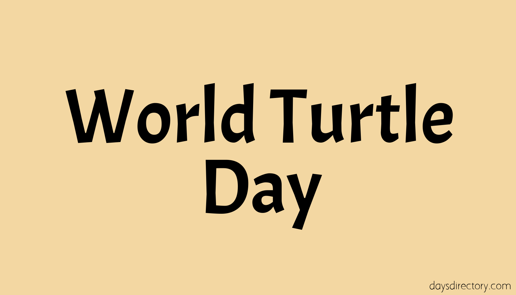 World Turtle Day