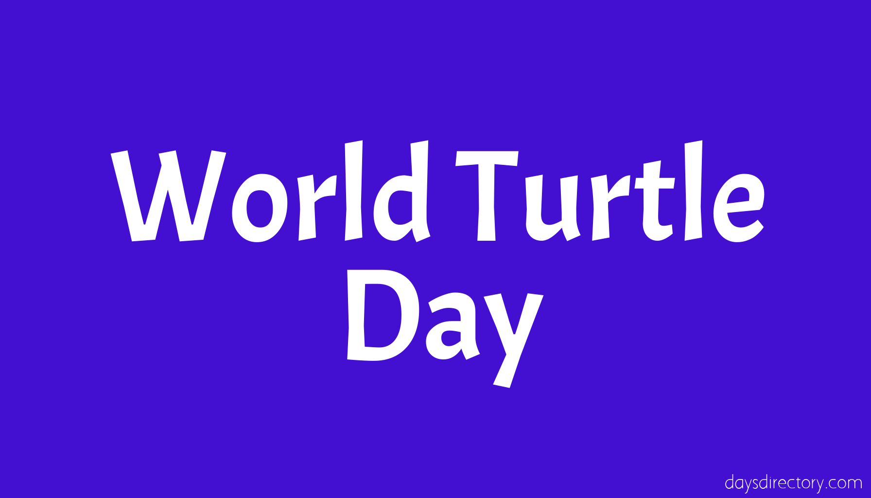 World Turtle Day